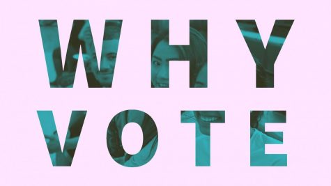 Why Vote?