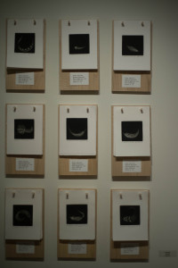 A display of "9 works" by artist John Carr