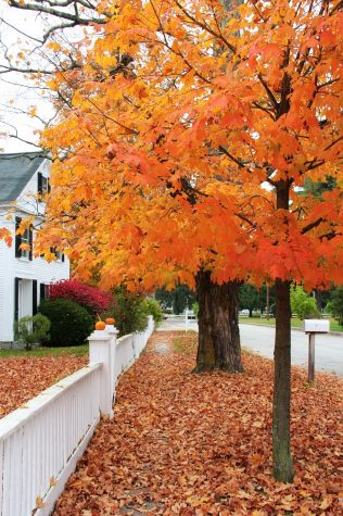 10 Things to do during the Holiday Season
