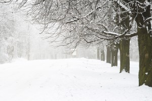 Montgomery College Closing due to Anticipated Blizzard: Jan. 22-Jan. 24