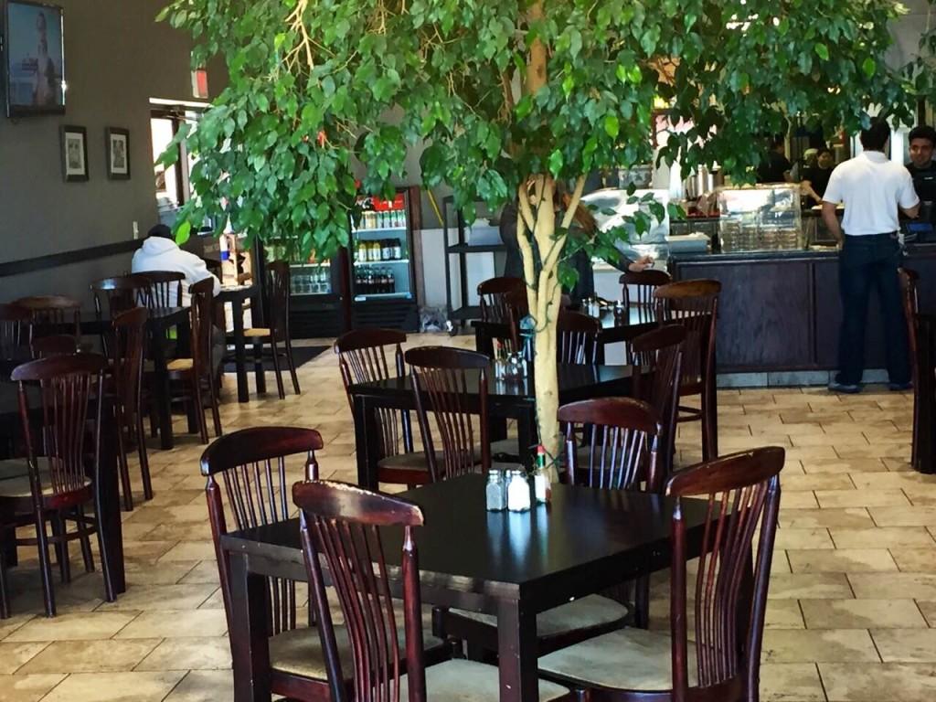 Tree located in the middle of the restaurant. (photo: Jarata Jaffa) 