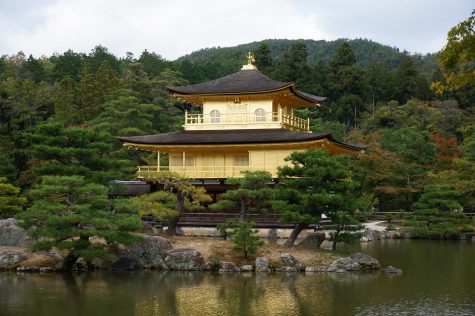 The Japanese Culture Club – MC Club Spotlight