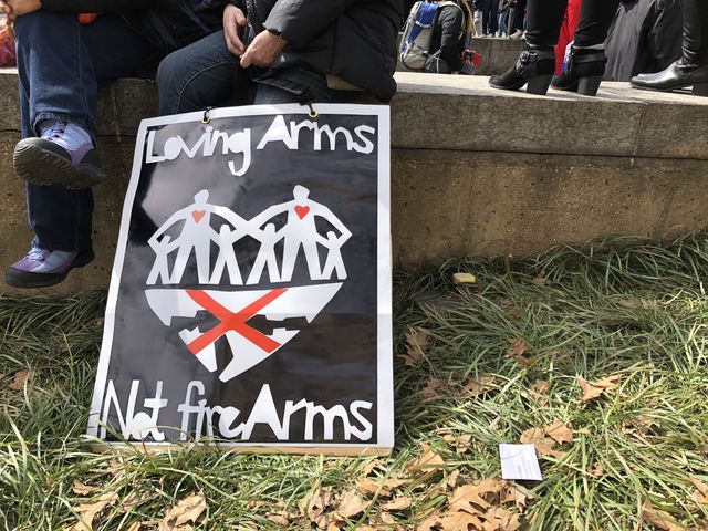 March for Our Lives- The Demand for Gun Safety comes knocking at Washingtons Door