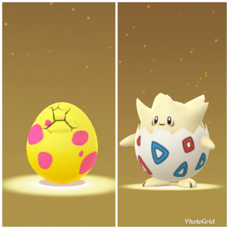 In Pokémon Go, pokémon trainers can accrue eggs as gifts from friends or from spinning Pokéstops. Using an incubator, an in-game item, trainers walk a required amount of kilometers, tracked by their portable devices gps, to hatch them. This little pokémon is a Togepi.