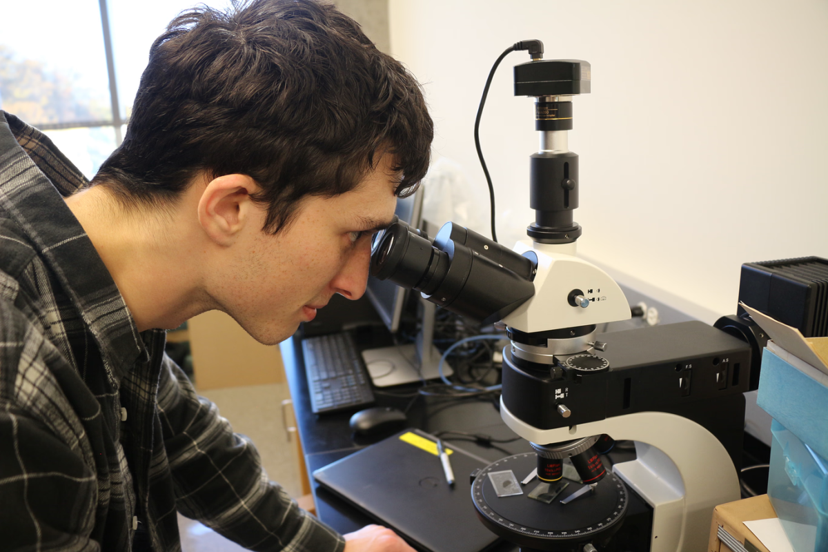 Club member Nicolas Spindler looks at a piece of the Allende meteorite through a microscope.
