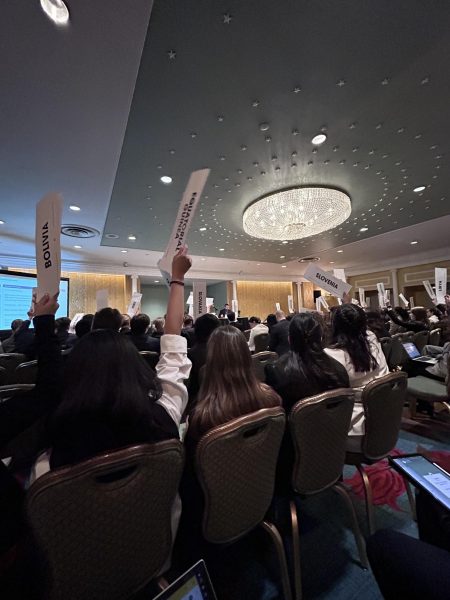 Navigation to Story: National Model United Nations New York: A Glimpse into a Career at the United Nations