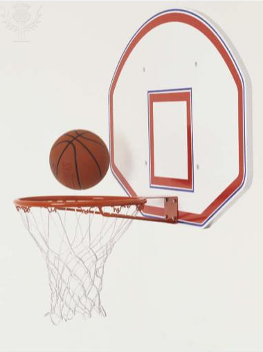 (A photo of a basket in a hoop. Photo Credit: Britannica Image Quest. Dorling Kindersley / Universal Images Group Rights Managed / For Education Use Only)